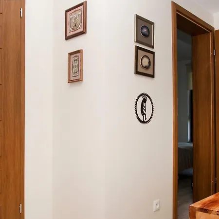 Przyjemny Apartament Z Widokiem Na Odre I Parkingiem Apartament